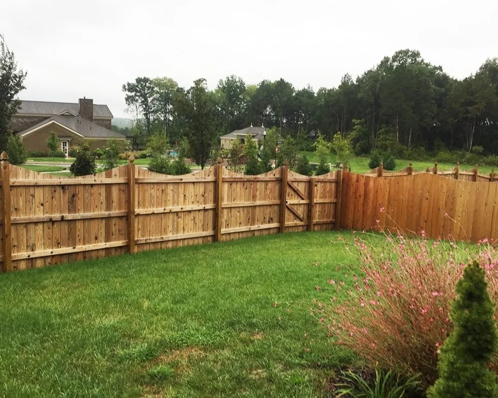 Fence Staining Richmond