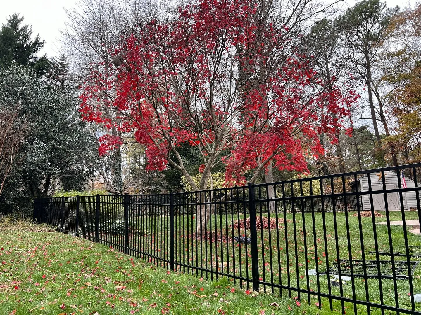 Aluminum Fence