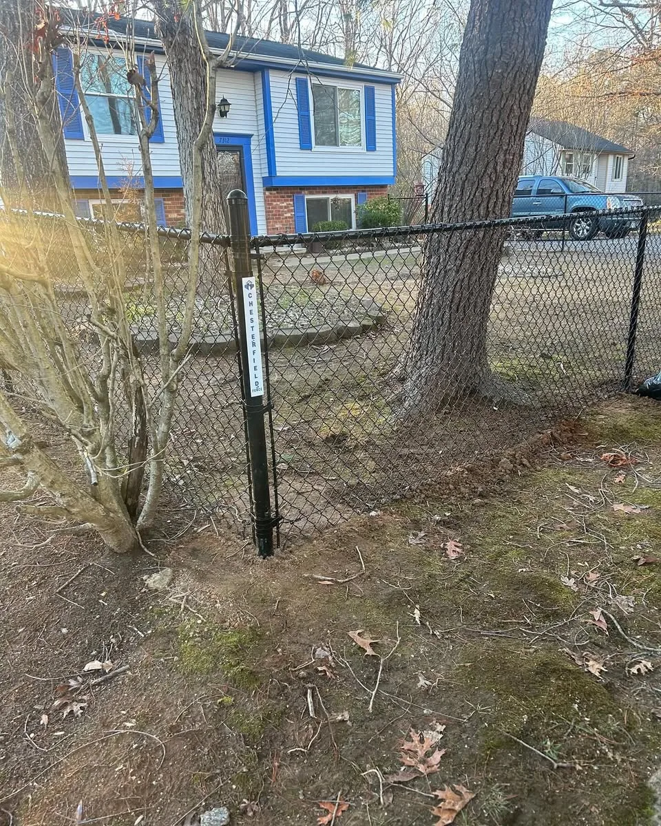 Chain Link Fence