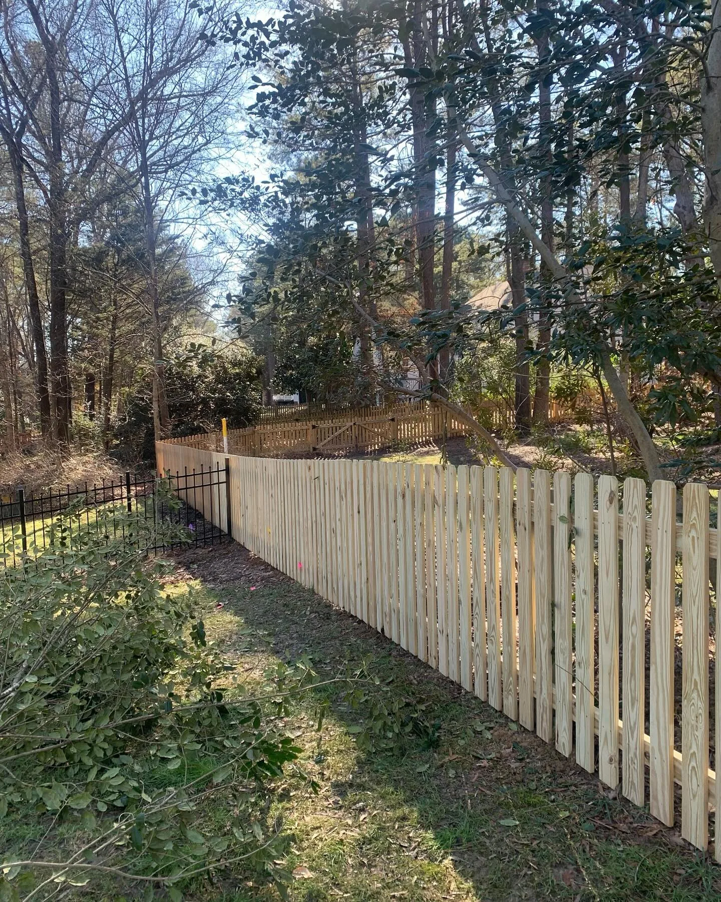Wood Fence