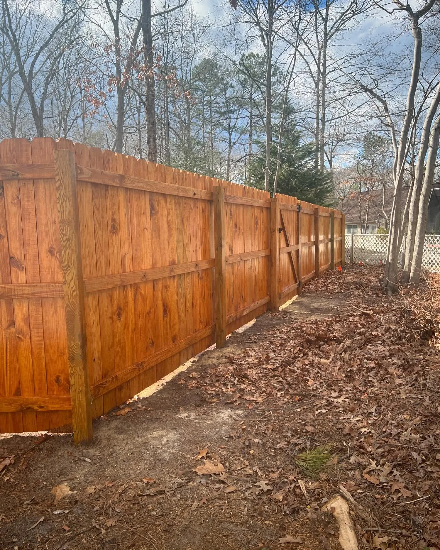 Wood Fence