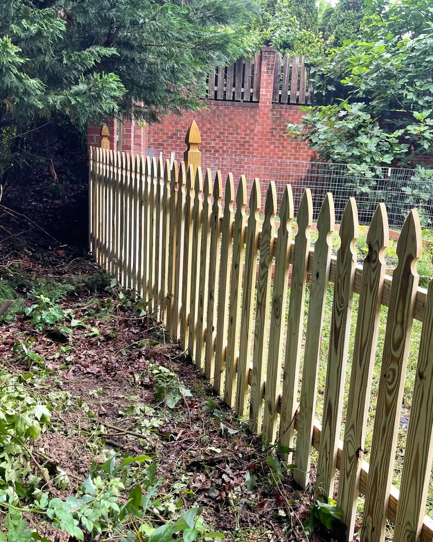 Wood Fence