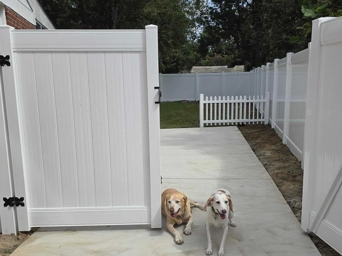 Pet-friendly white vinyl privacy fence with secure gate, showing dogs safely contained in a Richmond backyard.