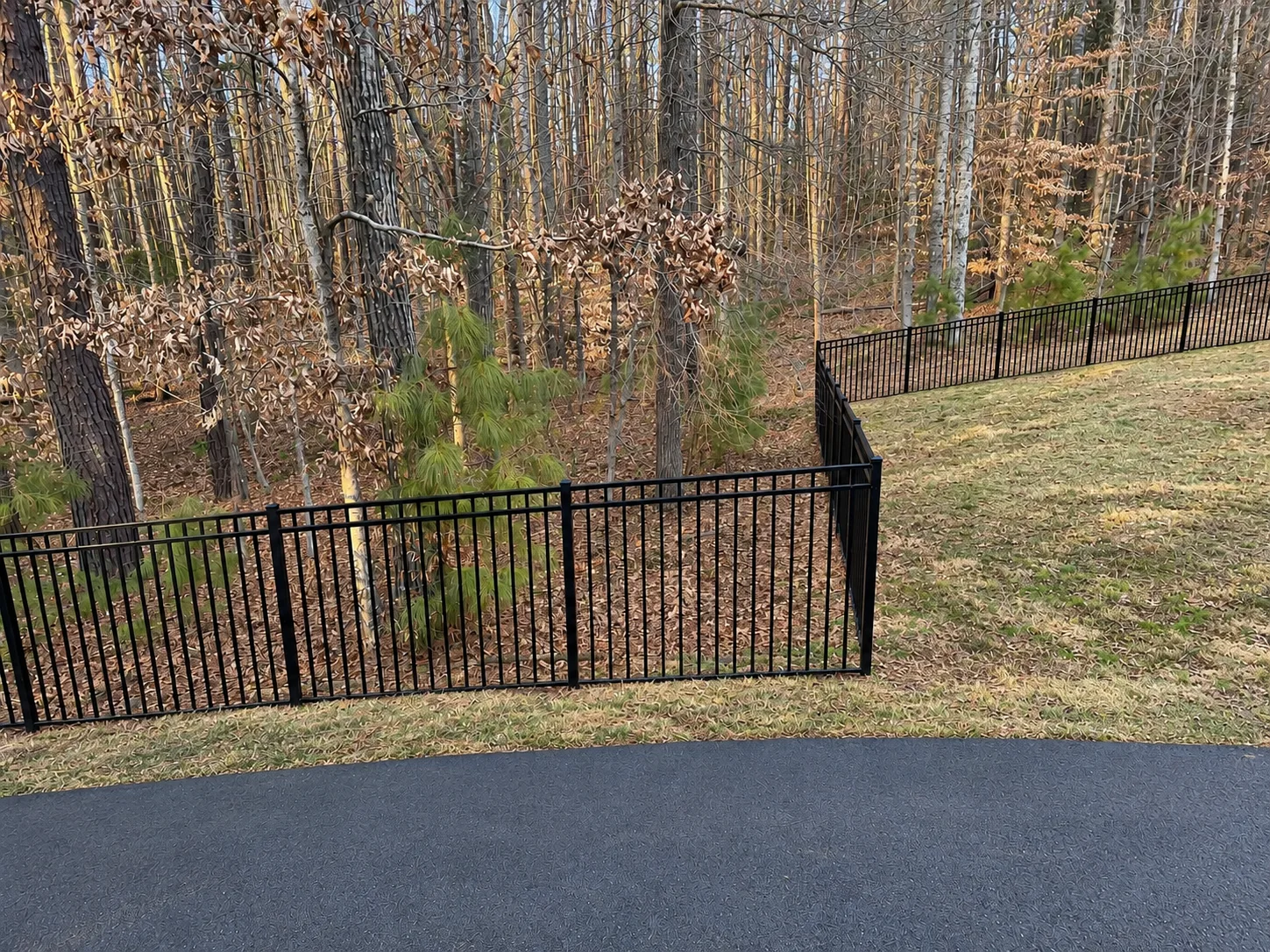 Black aluminum fence following the slope of a grassy backyard beside a wooded area